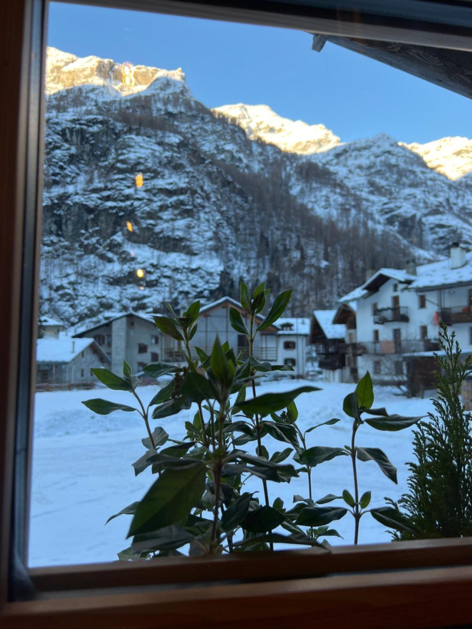 Wongade * Gressoney-La-Trinite