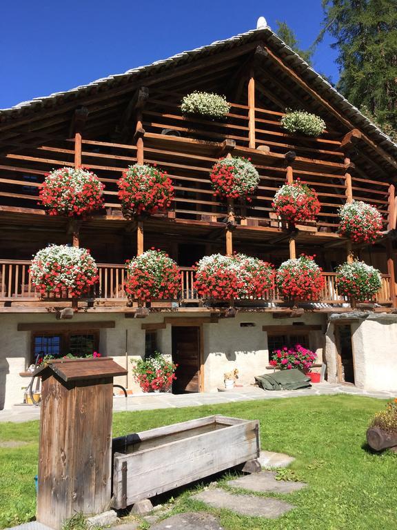 Wongade * Gressoney-La-Trinite